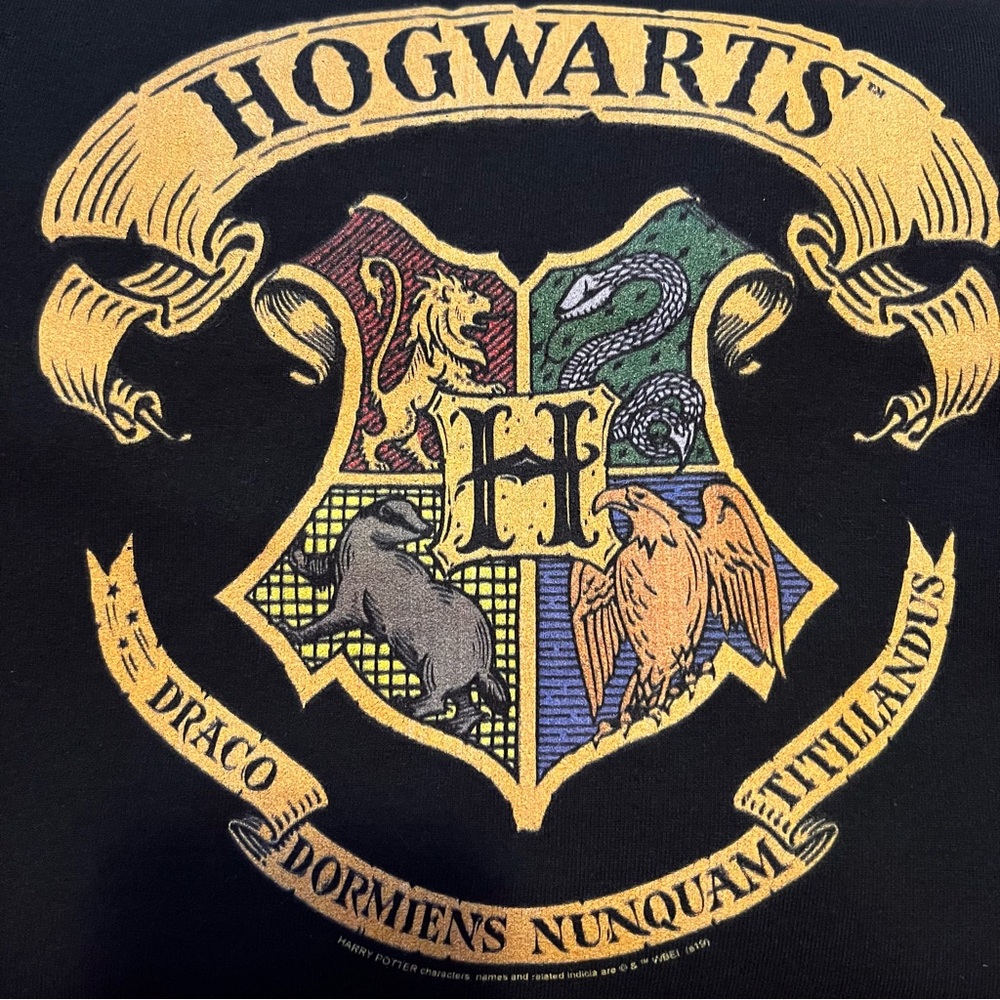 Harry Potter Hogwarts Coat of Arms Sweatshirt - Picture 8 of 8
